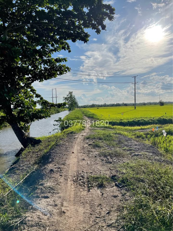 Đất 3 mặt tiền bờ kênh Lương Hòa A 1264m² giá 420 triệu - Cơ hội đầu tư hấp dẫn!