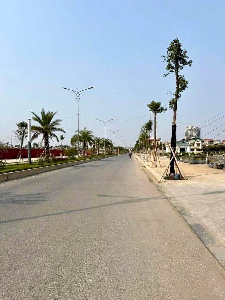 Đất nền chính chủ tại Lương Như Học, Hải Dương - Diện tích 78m², giá chỉ 2 tỷ!