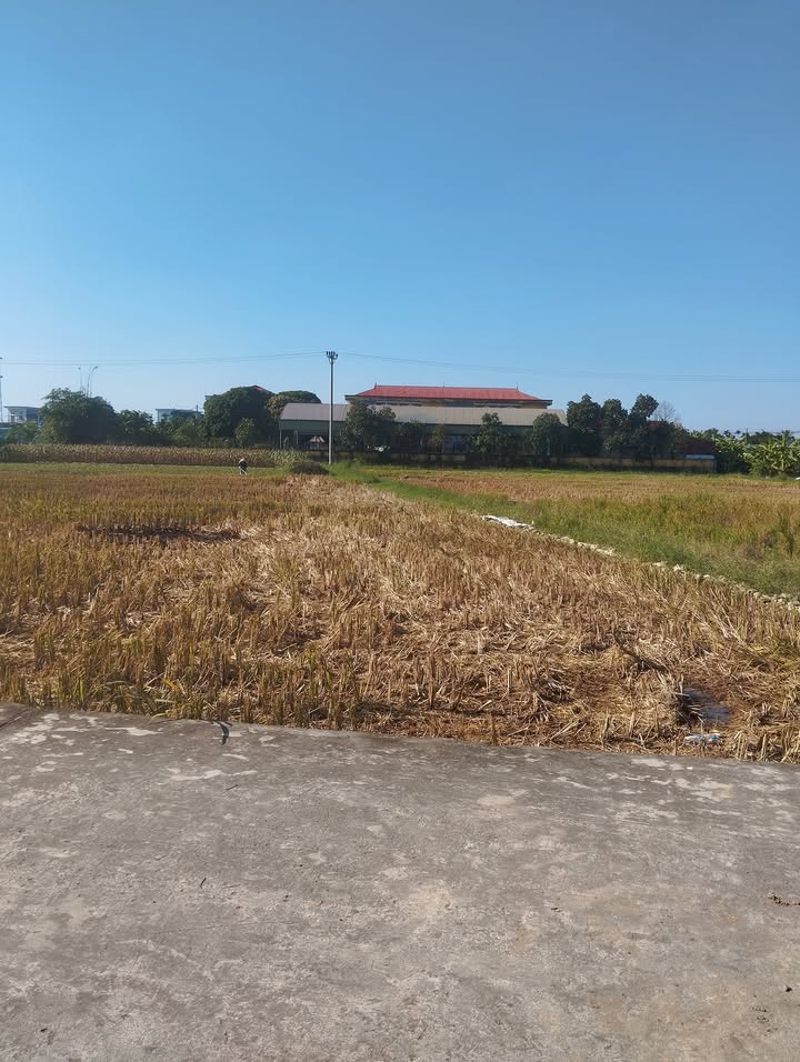 Đất nền Gia Lương 104.3m² chỉ 1.4 tỷ - Khu dân cư phát triển