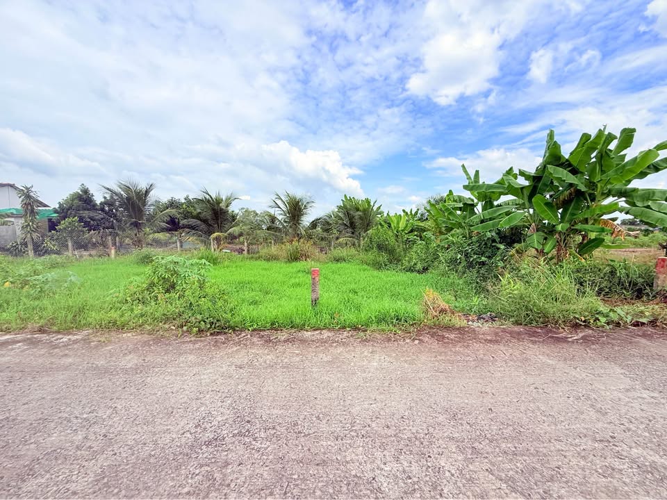 Đất thổ cư 54m² tại Bình Tịnh, Tân Trụ, Long An chỉ 245 triệu - Sổ hồng chính chủ!