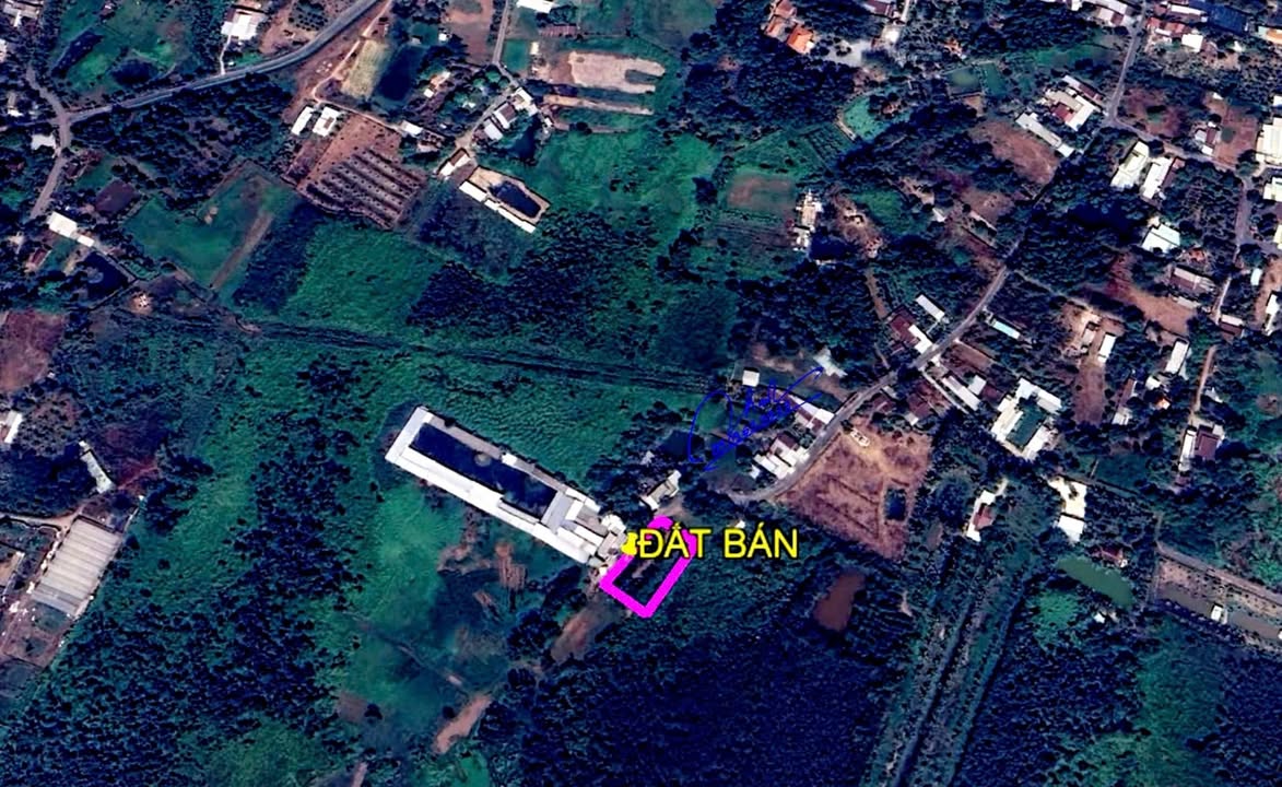 Đất nền xã Phước Hiệp, huyện Củ Chi 1375m² - Mặt tiền đường nhựa, thương lượng giá tốt!