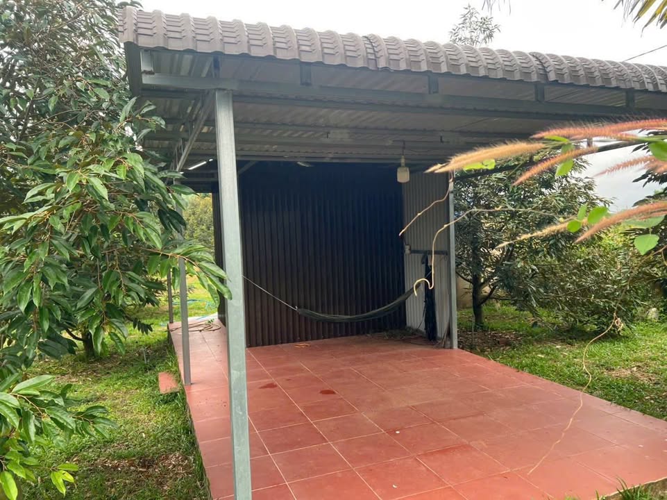 Đất Farm Nhân Nghĩa Cẩm Mỹ 2000m² giá 3.2 tỷ - Đầu tư lý tưởng cho nghỉ dưỡng!