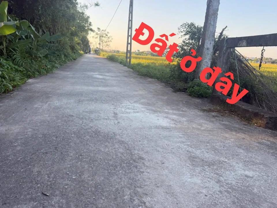 Đất ruộng 354m² tại Minh Lãng, Vũ Thư - Bám đường bê tông, giá thỏa thuận!