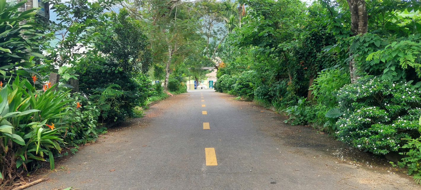 Đất vườn Hòa Phú Đà Nẵng 800m² giá 3 tỷ - Vị trí đẹp gần núi Thần Tài!