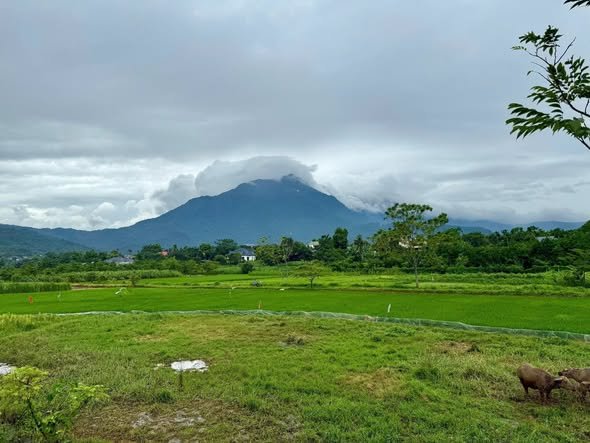 Đất thổ cư thôn Mít Mái, Yên Bài 545m² giá thỏa thuận - View núi thoáng mát!