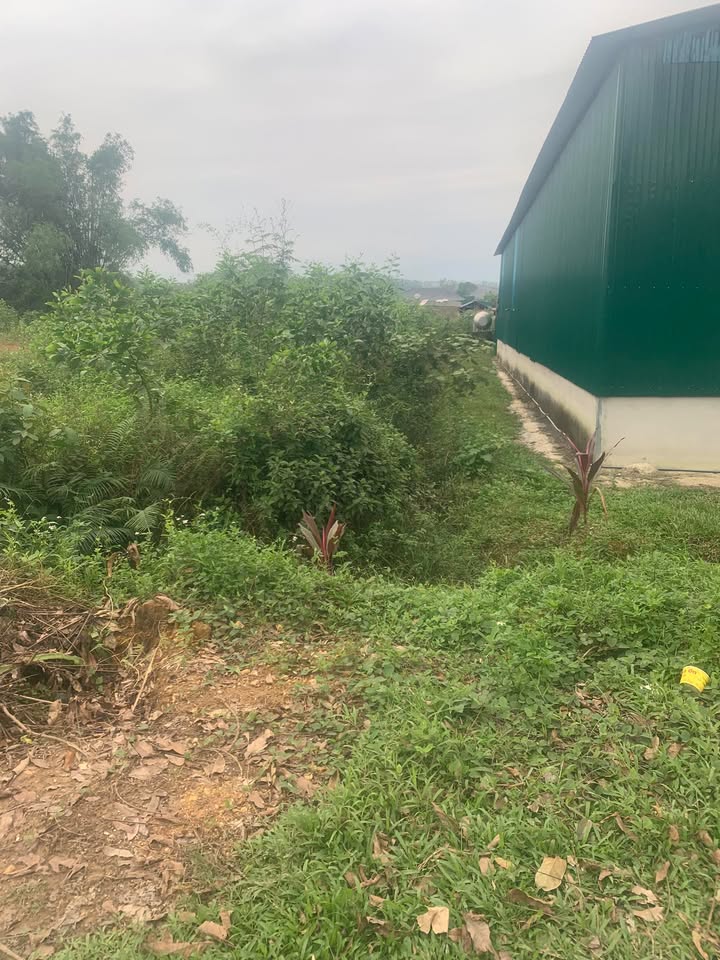 Lô đất Phúc Đồng, Hương Khê 700m² giá 140 triệu - Đầu tư sinh lời hấp dẫn!