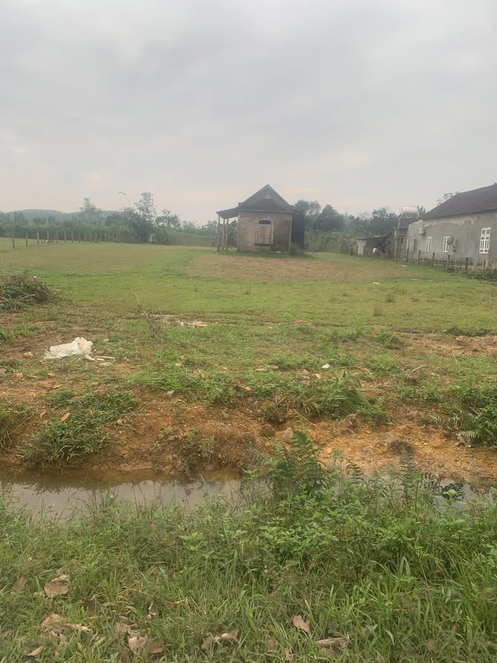 Đất nền Phúc Đồng Hương Khê 455m² chỉ 455 triệu - Cơ hội đầu tư tuyệt vời!