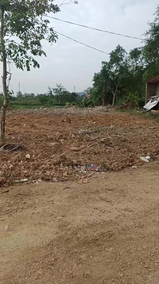 Đất Quỳnh Thiện Hoàng Mai 161m² giá 1 tỷ - Cơ hội đầu tư không thể bỏ qua!