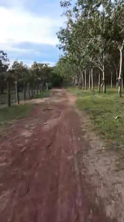 Đất vườn điều tại xã Ia Dơk, huyện Đức Cơ, Gia Lai 1,7ha giá chỉ 1 tỷ - Cơ hội đầu tư hấp dẫn!