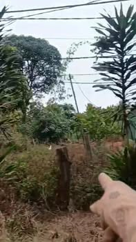 Đất nền trục chính xã Ia Pnôn 4200m² giá chỉ 300 triệu - Cơ hội đầu tư sinh lời!