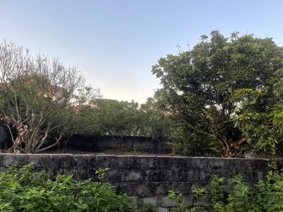 Đất liền kề 2 mặt ngõ tại xã Liên Phương, Hưng Yên - Giá chỉ 2 tỷ!