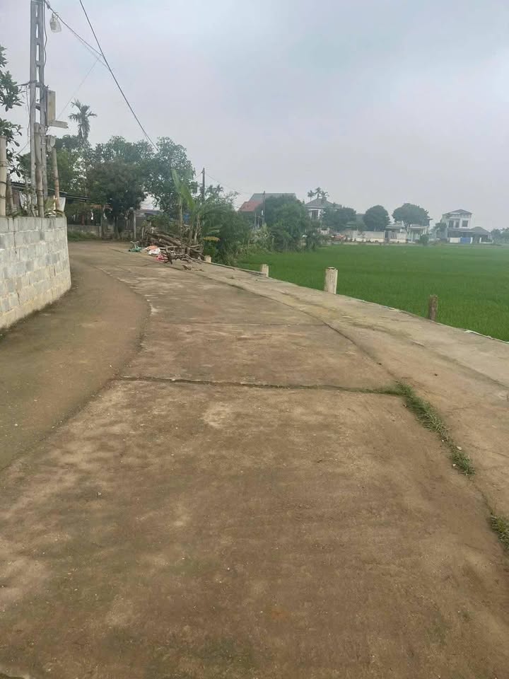 Đất thổ cư 200m² tại Ngõ 779, Gia Sàng, Thái Nguyên - Giá chỉ 1 tỷ, cơ hội đầu tư tuyệt vời!