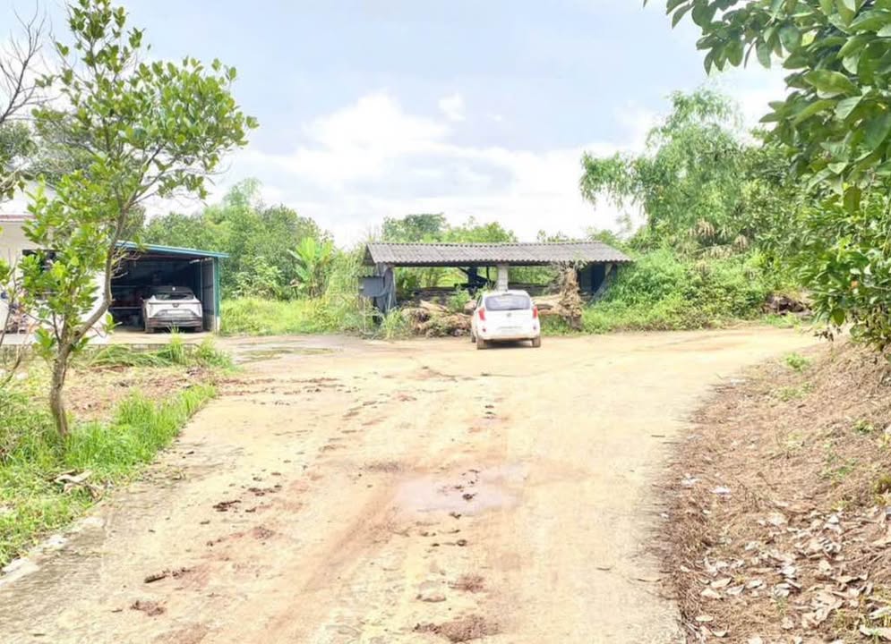 Đất thổ cư Thịnh Đán 298m² giá 2.98 tỷ - Đầu tư sinh lời, vị trí tuyệt vời!