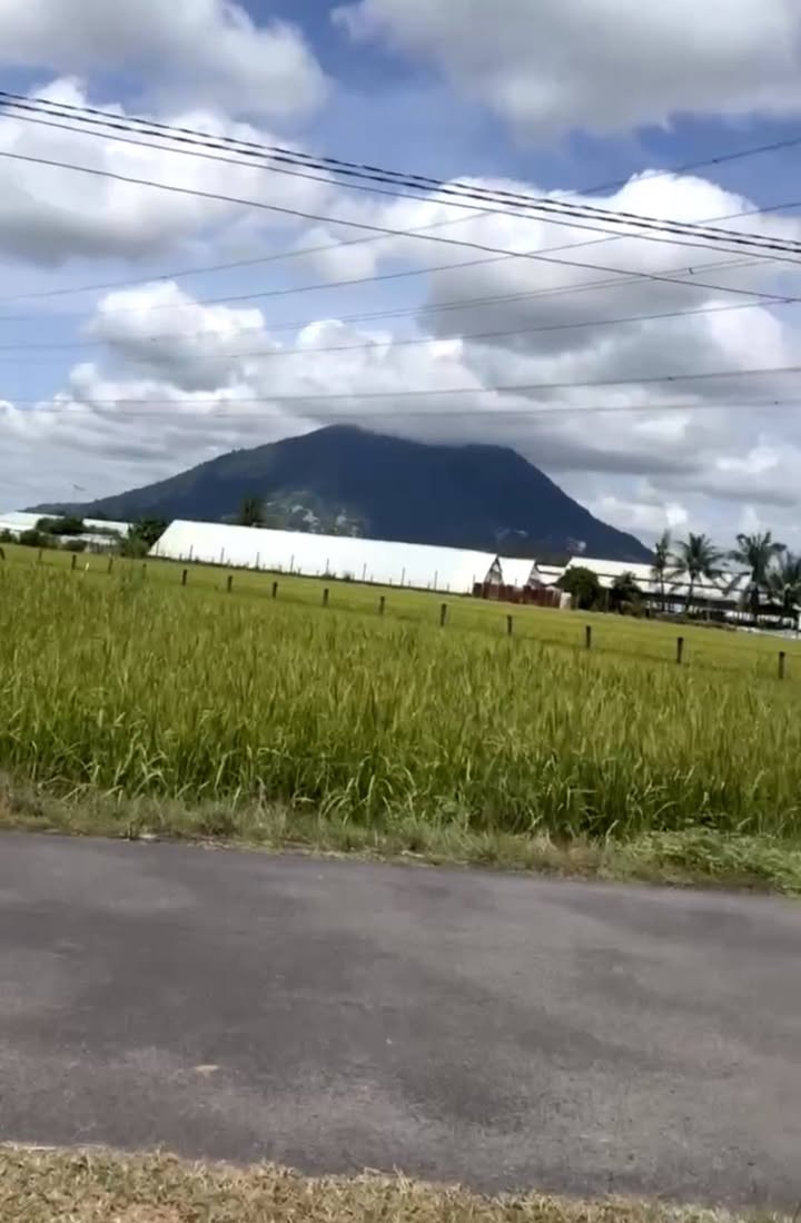 Đất nền Ninh Thạnh, Tây Ninh 1400m² giá 1.4 tỷ - Đầu tư sinh lời cao!