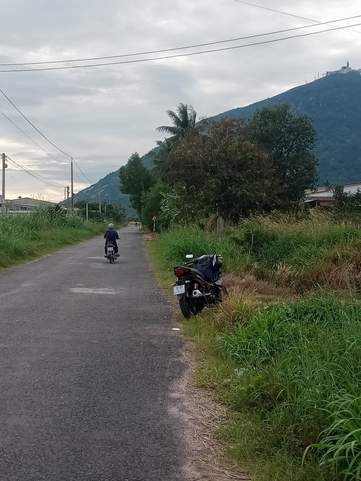 Đất nền Suối Đá Dương Minh Châu 900m² giá chỉ 100 triệu - Cơ hội đầu tư tuyệt vời!