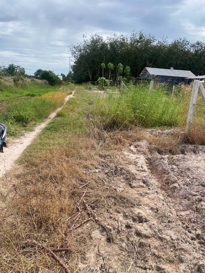 Đất nền Hảo Đước, Châu Thành, Tây Ninh 53,000m² giá 700 triệu - Cơ hội đầu tư tuyệt vời!