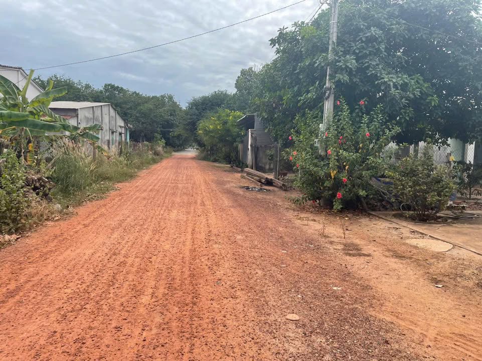 Đất thổ cư 300m² Thạnh Đông, Tân Châu - Giá chỉ 390 triệu, sổ đỏ chính chủ!