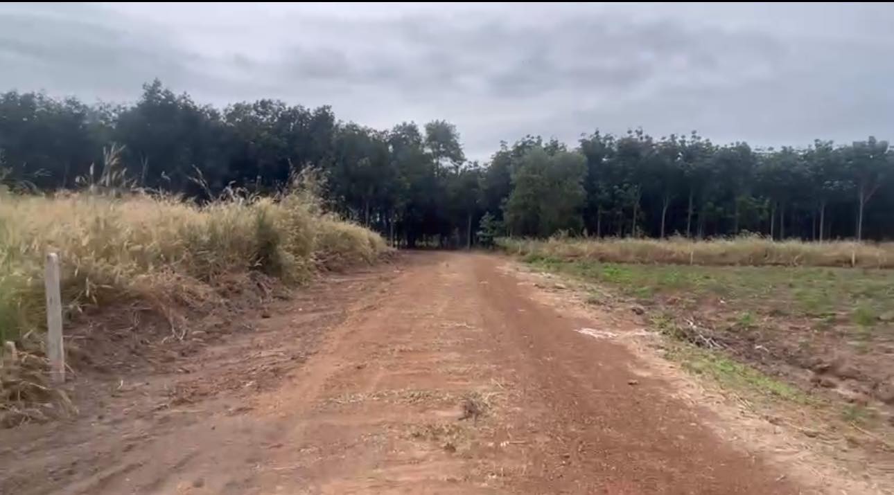 Đất nền ấp 5 Minh Lập, Chơn Thành 8000m² giá 600 triệu - Cơ hội đầu tư tuyệt vời!