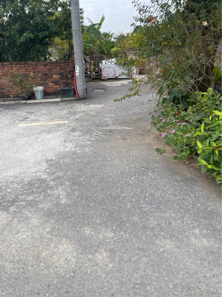 Đất lô góc mặt ngõ 42 Lệ Chi 59.5m² giá 4 tỷ - Sổ đỏ chính chủ!