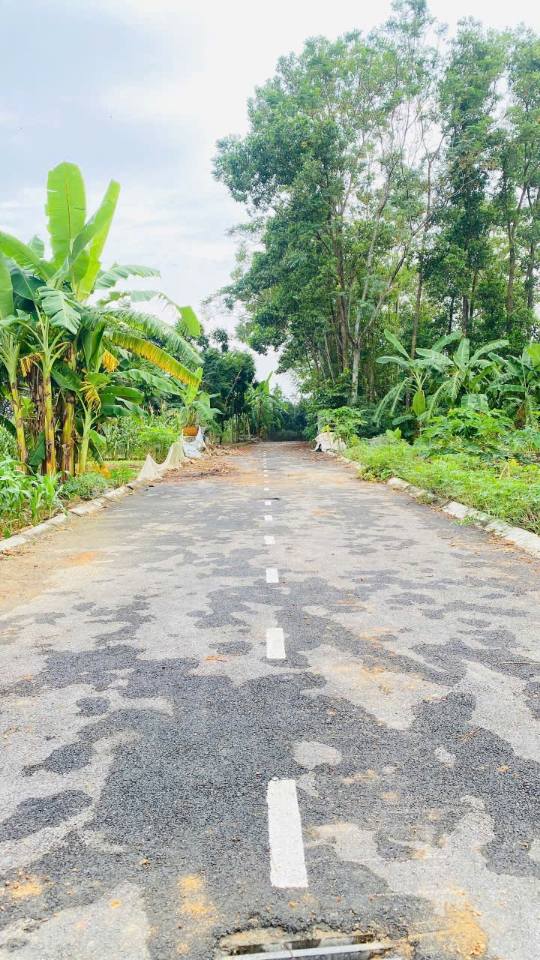 Đất thổ cư 74.9m² thôn Sen Trì, Hạ Bằng - Vị trí đẹp, giá đầu tư hấp dẫn!