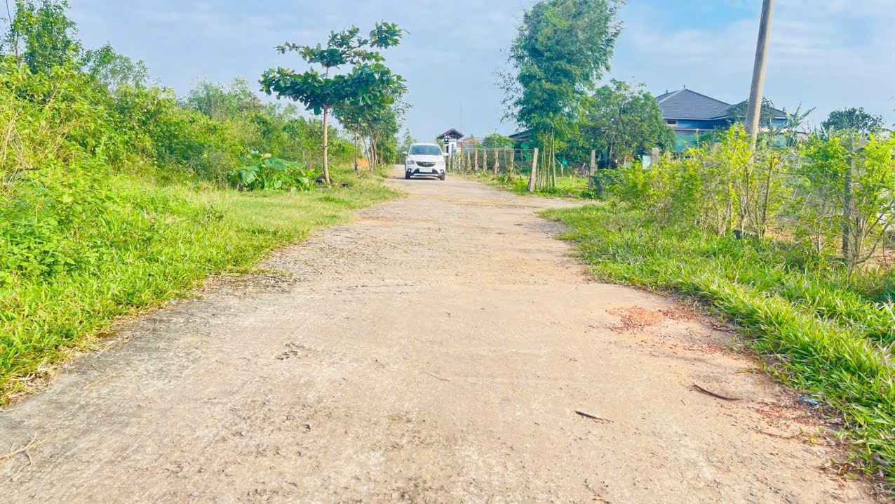 Đất nền 1000m² xã Nam Điền giá chỉ 1.7 tỷ - Cơ hội đầu tư sinh lời!