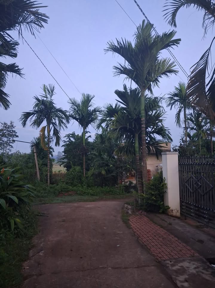 Đất thổ cư Hòa An, Krông Pắc 400m² giá 4.8 tỷ - Sổ đỏ chính chủ