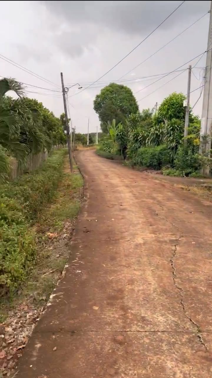 Đất nền xã Bảo Bình, Cẩm Mỹ 1079m² giá 860 triệu - Sổ hồng riêng, vị trí đẹp!