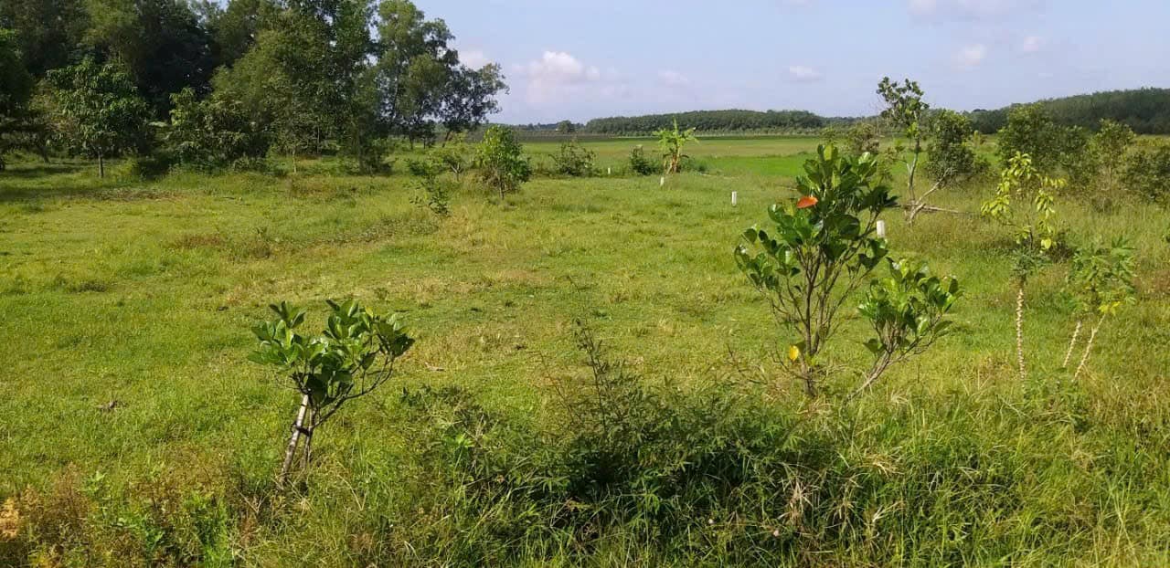 Đất nền Phước An, xã Phước Thạnh, Gò Dầu 720m² giá 7.2 tỷ - Cơ hội đầu tư tuyệt vời!