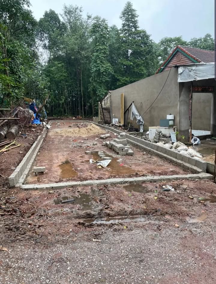 Đất Mặt Tiền Phạm Đình Toái, Thủy Xuân 100m² giá 1.8 tỷ - Sổ đỏ chính chủ, thương lượng!