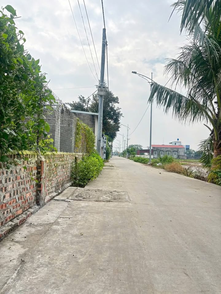 Đất nền Tiên Thanh, Tiên Lãng, Hải Phòng 227m² giá 3 tỷ - Cơ hội đầu tư tuyệt vời!