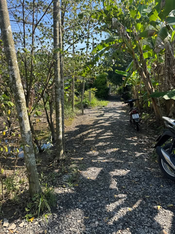 Đất nền Phước Thới, Bình Thủy, Cần Thơ 300m² giá 1.2 tỷ - Đầu tư sinh lời lý tưởng!