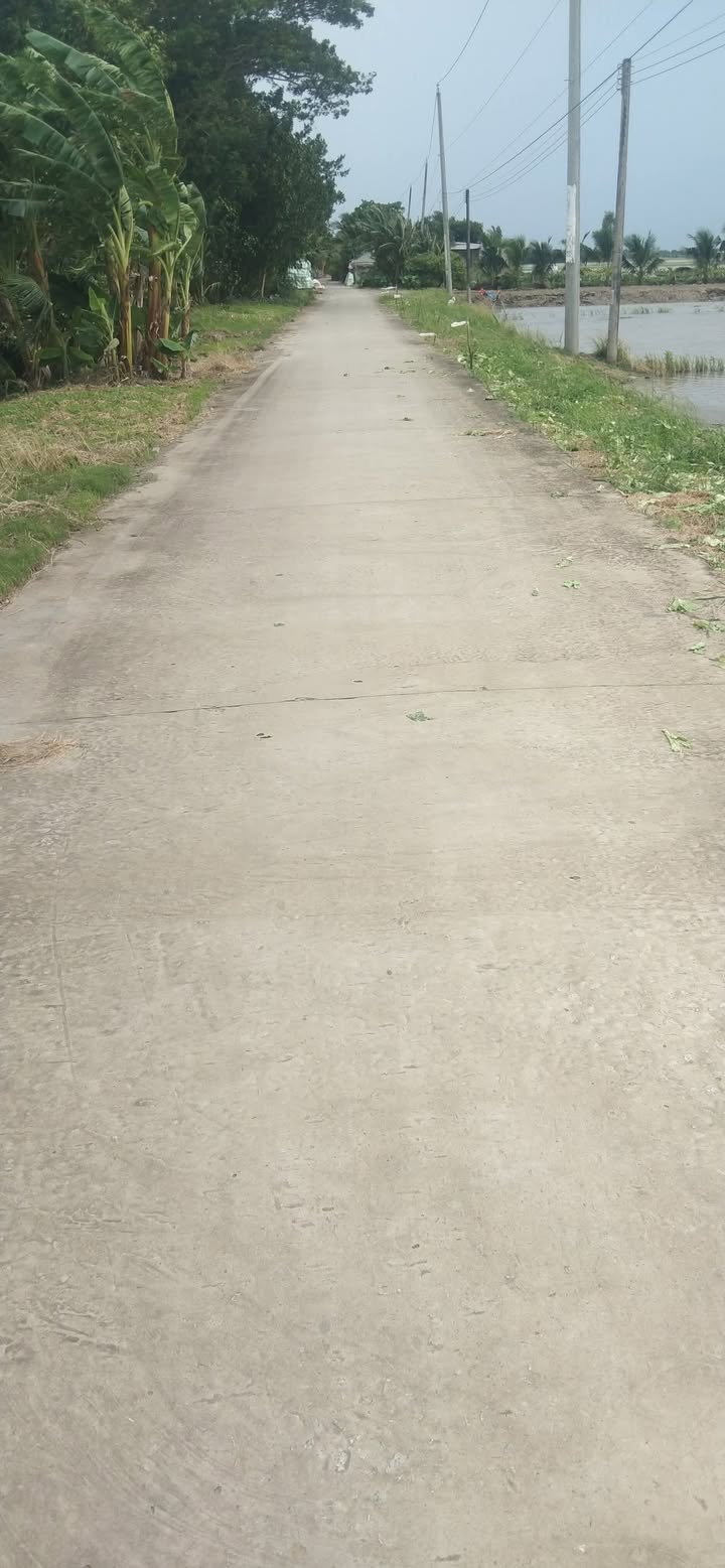 Đất thổ cư xã Thạnh Phú, Cờ Đỏ, Cần Thơ 2390m² - Sổ hồng chính chủ, giá chỉ 1 tỷ!