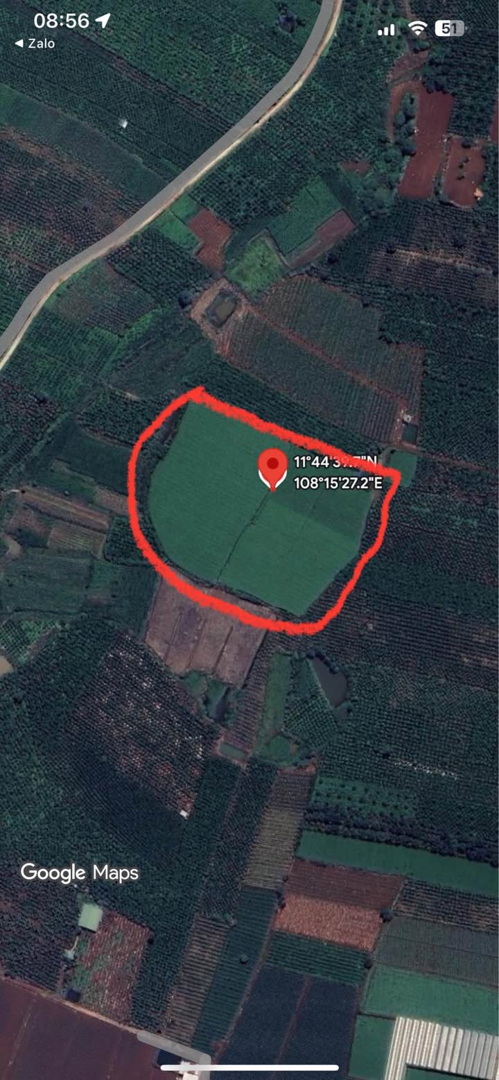 Đất nông nghiệp Tân Hội Đức Trọng 18.000m² giá 1.68 tỷ - Sổ đỏ chính chủ!