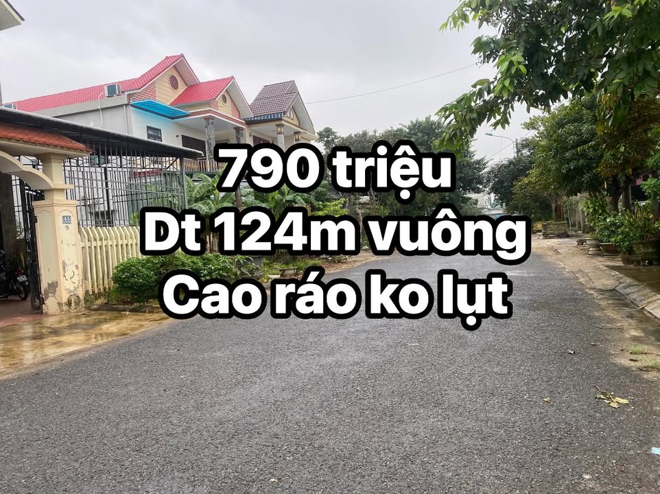 Đất nền trung tâm Ái Tử 124m² giá 700 triệu - Đầu tư sinh lời ngay!