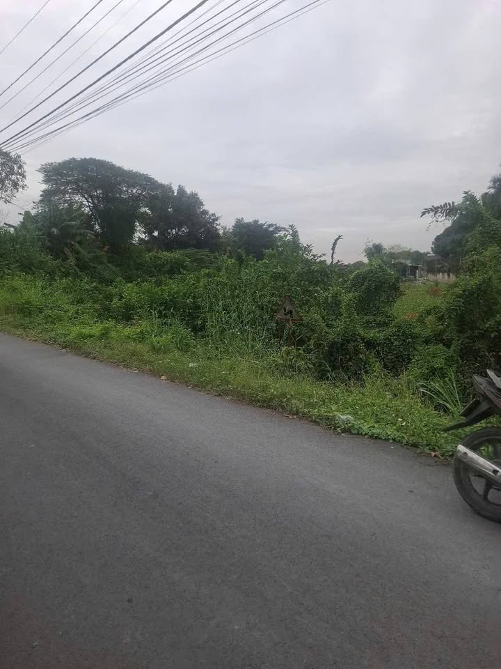 Đất nông nghiệp Tân Kiên 1500m² giá 7.5 tỷ - Mặt tiền đường Võ Trần Chí