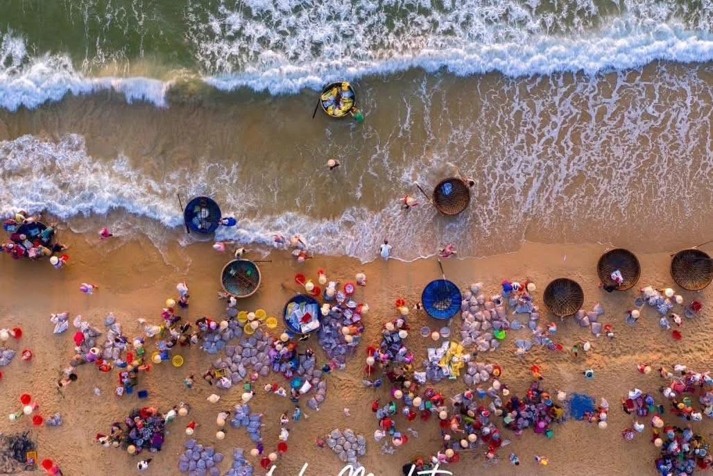 Đất mặt tiền đường Thanh Niên, Tam Tiến, 731m² giá 8 tỷ - Cơ hội đầu tư sinh lời!