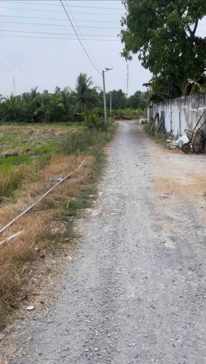 Đất nền Ấp 3 Nhựt Chánh, Bến Lức 3004m² - Pháp lý rõ ràng, giá tốt!