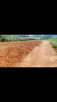 Đất vườn nghỉ dưỡng 1360m² tại xã Phúc Thịnh, Ngọc Lặc chỉ 225 triệu - Cơ hội đầu tư lý tưởng!