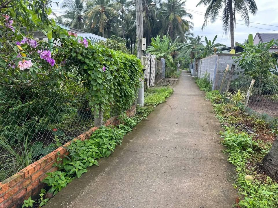 Đất vườn 500m² tại ấp Tân Ninh, xã Xuân Đông - Giá 620 triệu - Hỗ trợ thương lượng!