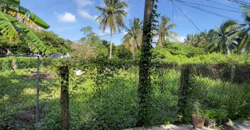 Đất nền Vĩnh Kim, Châu Thành 336m² giá 1.36 tỷ - Mặt tiền đường xe ô tô