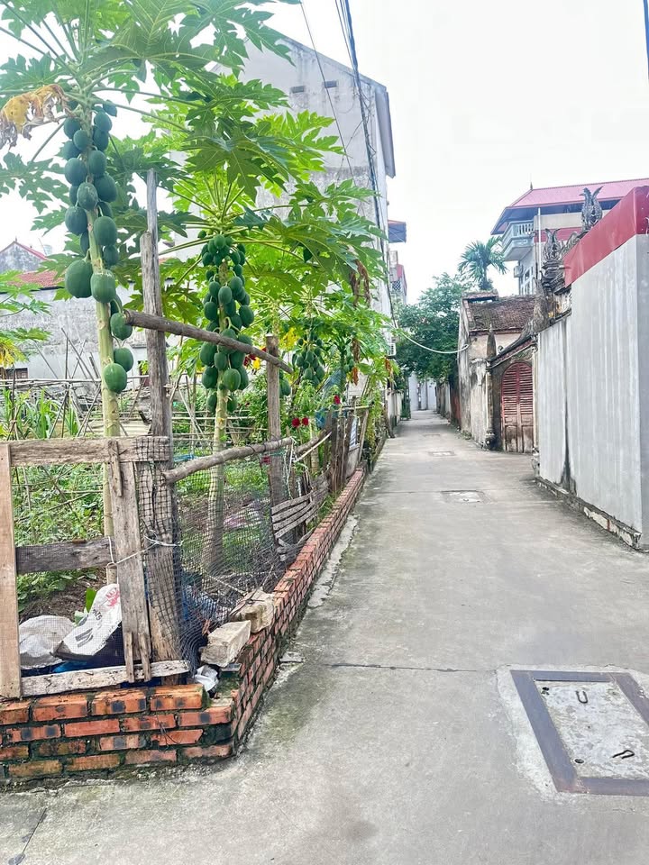 Đất nền Tam Giang Yên Phong 89m² giá chỉ 1.7 tỷ - Cơ hội đầu tư hiếm có!