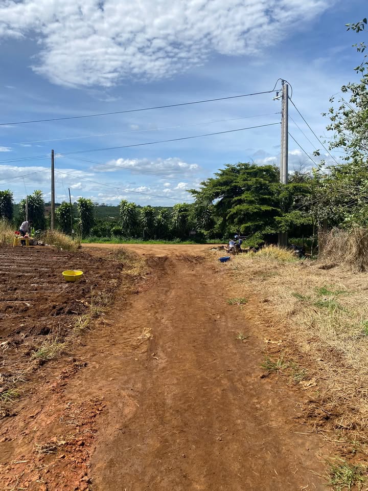 Đất sào Tân Hà Đức Trọng 1.022m² giá 679 triệu - Cơ hội đầu tư hấp dẫn!