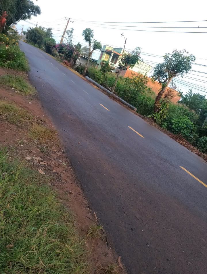 Lô đất mặt đường DH1, Tân Hội, Đức Trọng 540m² giá 2.5 tỷ - Đầu tư sinh lời ngay!