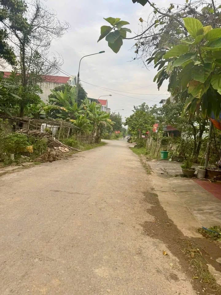 Đất thổ cư 120m² tại tổ 9, phường Ỷ La - Giá chỉ 3.3 tỷ - Cơ hội đầu tư sinh lời!