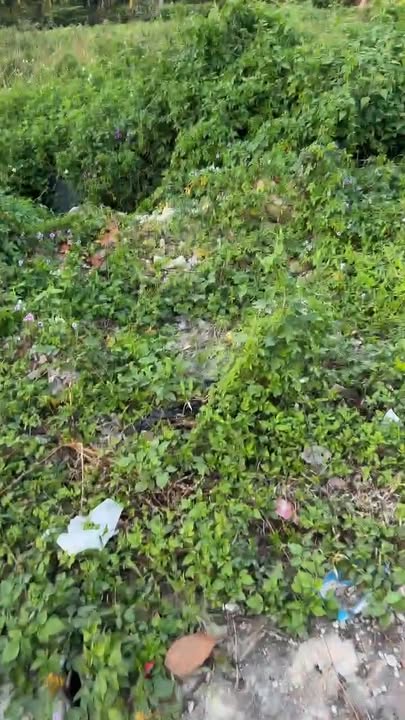 Đất nền Hồng Thái 600m² giá thỏa thuận - Pháp lý rõ ràng, đầu tư sinh lời!