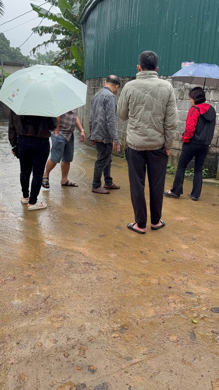 Đất nền Kim Bôi Hòa Bình 256m² giá 2.5 tỷ - Sẵn sàng xây dựng ngay!