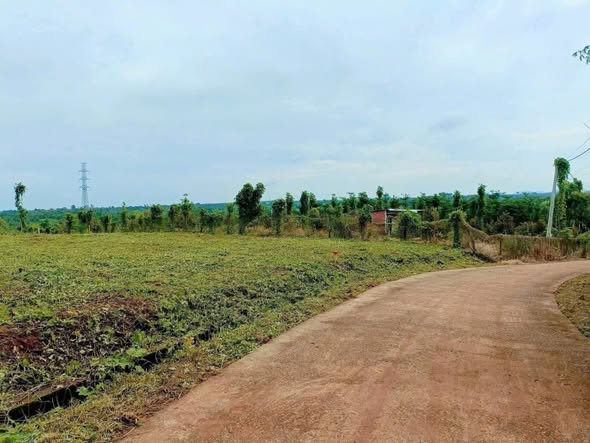 Đất nền Kim Long Châu Đức 528m² giá 650 triệu - Gần đường chính, view hồ