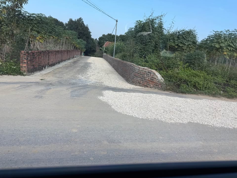 Đất nền Thanh Đình Việt Trì 230m² giá 1.45 tỷ - Cơ hội đầu tư tuyệt vời!