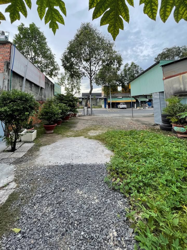 Bán đất mặt tiền đường Nguyễn Trãi, Tây Ninh 119m² giá 420 triệu - Vị trí vàng trung tâm!