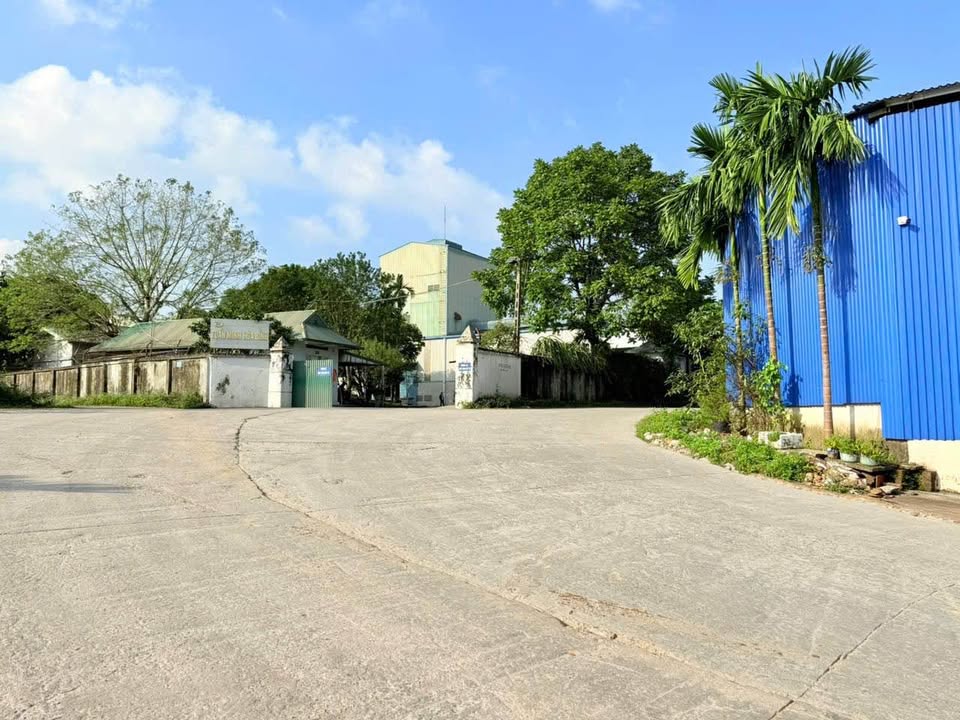 Đất nền Lương Sơn Hòa Bình 4390m² giá 17.56 tỷ - Đầu tư sinh lợi tốt!